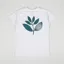 Magenta Classic Plant T Shirt Ash Teal