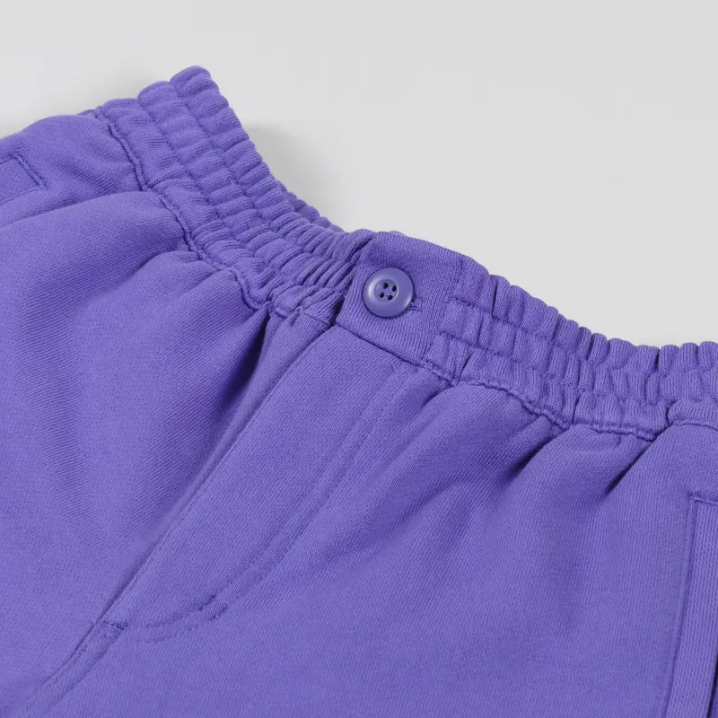 Adidas Skateboarding Shmoo Shorts Purple Sky-1