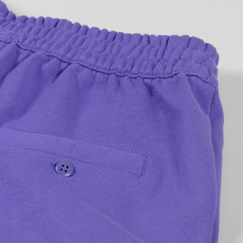 Adidas Skateboarding Shmoo Shorts Purple Sky-4